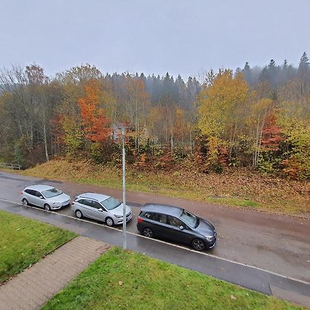 2 Rooms Apartment In Triberg Triberg im Schwarzwald Exterior photo